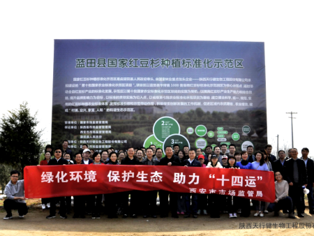 字跳网络申请新专利：基于Web的特效制作工具引领数字创作潮流